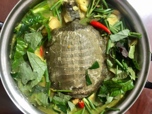 Ba ba nấu chuối
