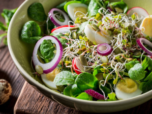 Salad cải mầm